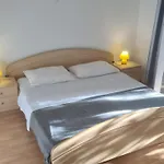 Rubbi * Vrsi