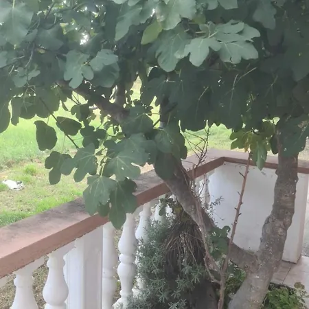 Apartman Rubbi
