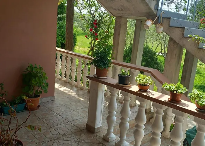 Rubbi Vrsi