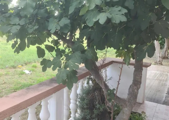 Апартаменты Rubbi